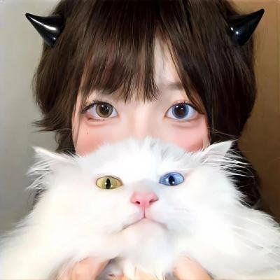 上载新生第四季