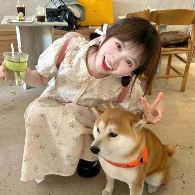最美丽的安排
